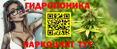 спиды Нарткала
