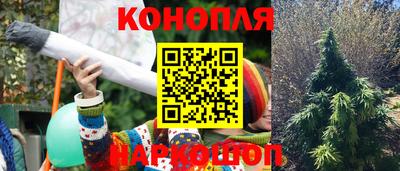 гидропоника Можга
