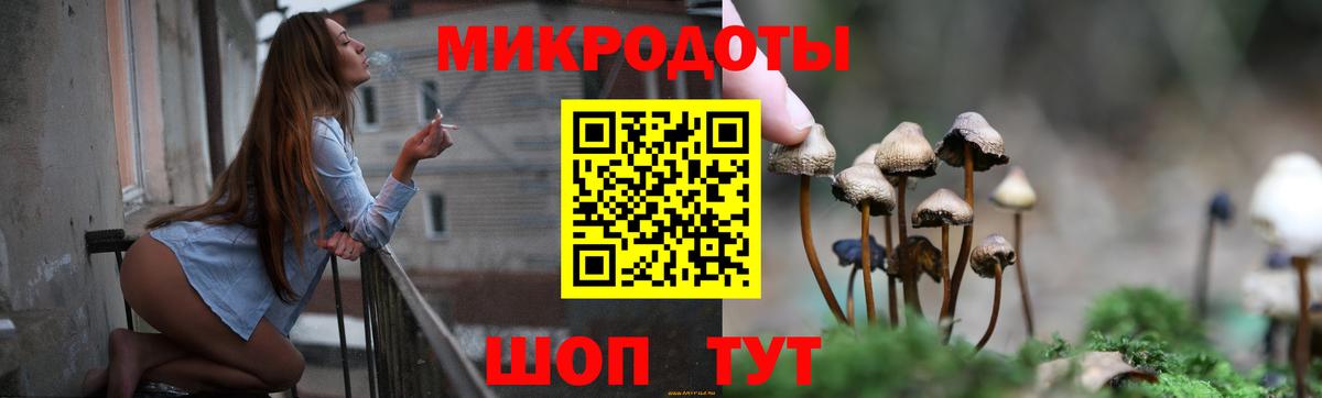 Псилоцибиновые грибы ЛСД  Вход с VPN  Тамбов  где купить   Псилоцибиновые грибы прущие грибы 