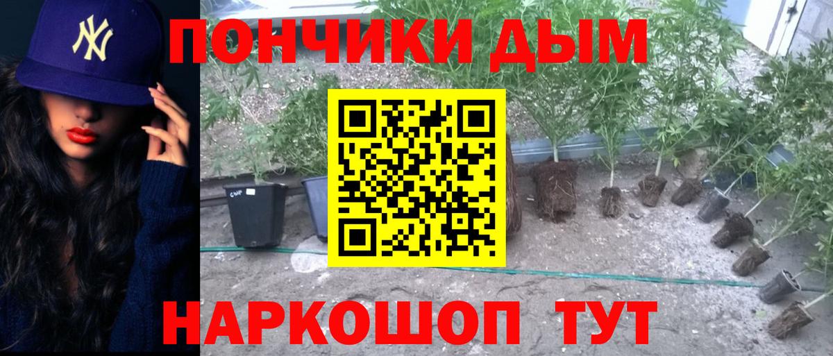 Бошки Шишки Amnesia  Бошки Шишки VHQ  Вход с VPN  Тамбов  Марихуана план 
